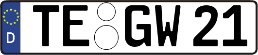 TE-GW21