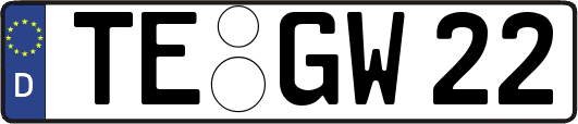 TE-GW22