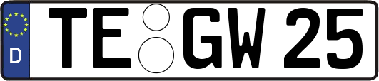 TE-GW25