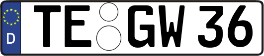 TE-GW36
