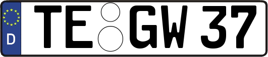 TE-GW37