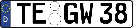 TE-GW38