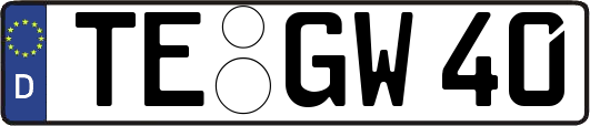 TE-GW40