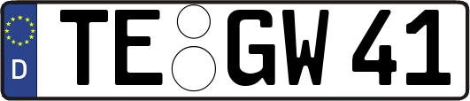 TE-GW41