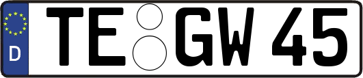 TE-GW45