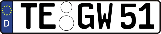 TE-GW51