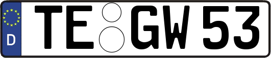 TE-GW53