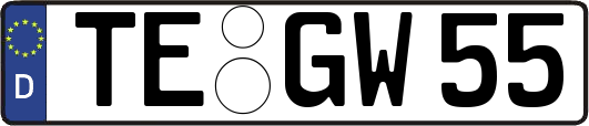 TE-GW55