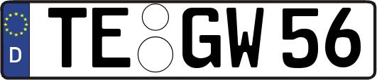 TE-GW56