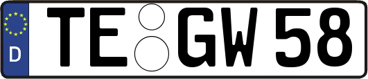 TE-GW58