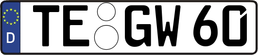 TE-GW60