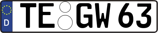 TE-GW63