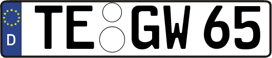 TE-GW65