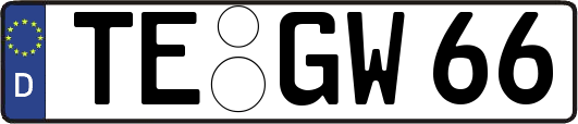 TE-GW66