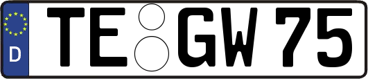 TE-GW75