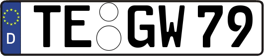 TE-GW79