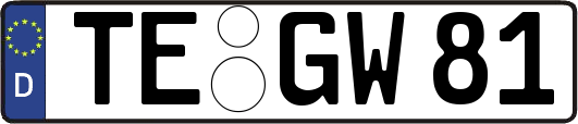 TE-GW81