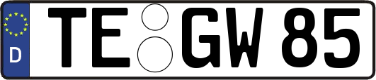 TE-GW85