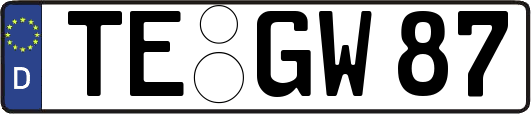 TE-GW87