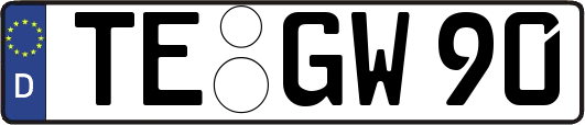 TE-GW90