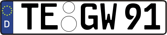TE-GW91