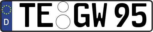 TE-GW95