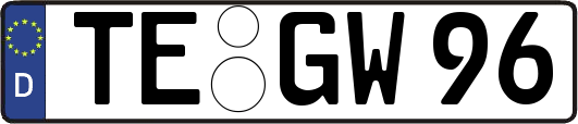TE-GW96