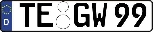TE-GW99