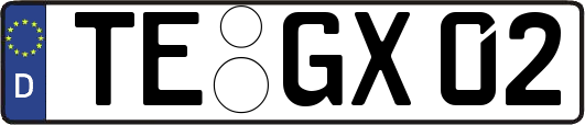 TE-GX02