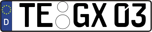TE-GX03