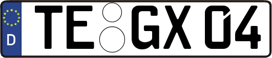TE-GX04