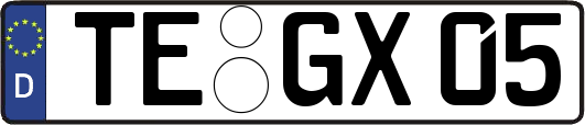TE-GX05