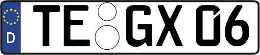 TE-GX06