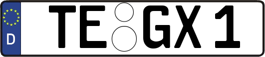 TE-GX1