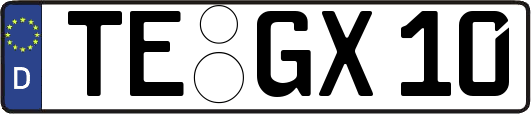 TE-GX10