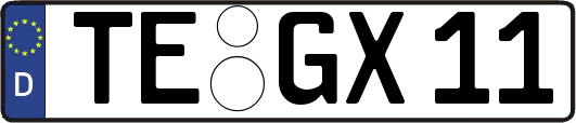 TE-GX11