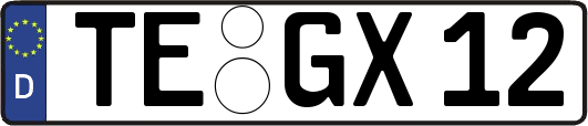 TE-GX12