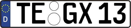 TE-GX13