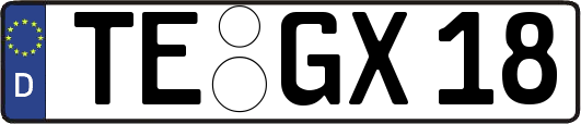 TE-GX18