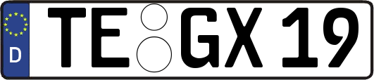 TE-GX19