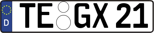 TE-GX21