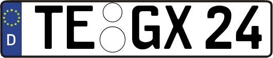 TE-GX24