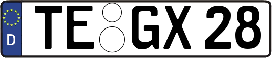 TE-GX28