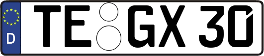 TE-GX30