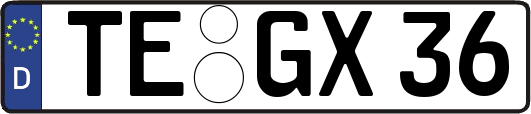 TE-GX36