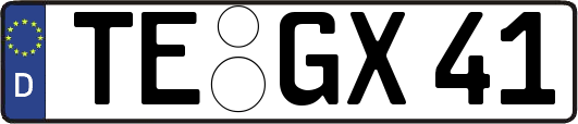 TE-GX41