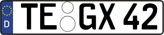 TE-GX42