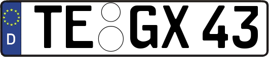 TE-GX43