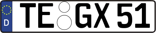 TE-GX51