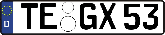 TE-GX53